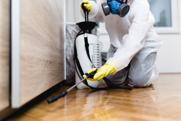 Best Affordable Pest Control Services  in Tri Lakes, IN