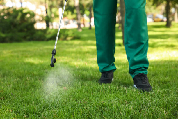 Best Cockroach Control Services  in Tri Lakes, IN