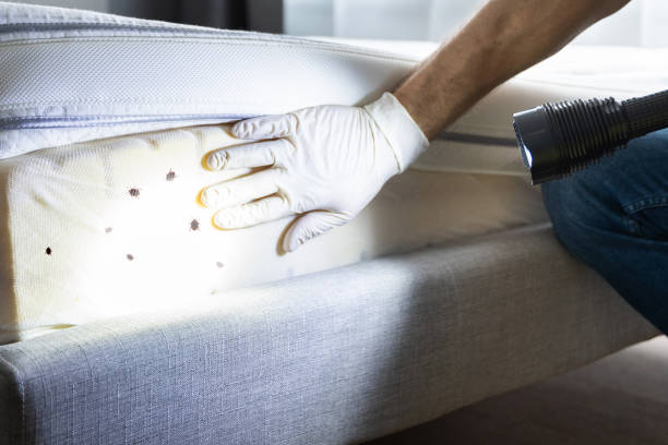 Best Wasp Removal Services  in Tri Lakes, IN