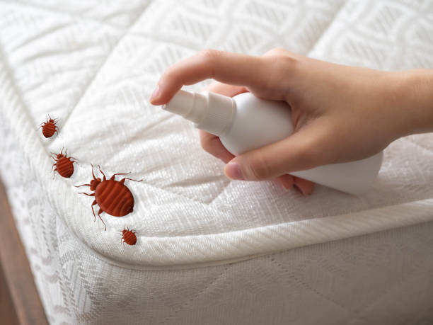 Best Best Pest Control Near Me  in Tri Lakes, IN