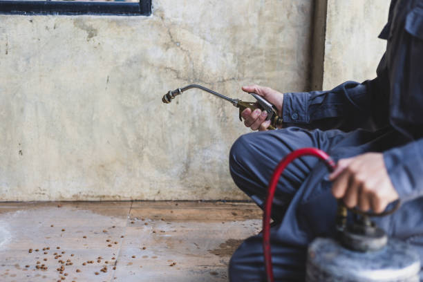 Best Pest Control for Homes  in Tri Lakes, IN