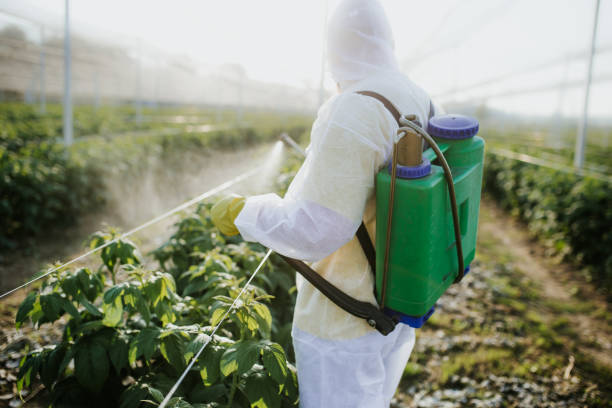Best Flea Control Services  in Tri Lakes, IN